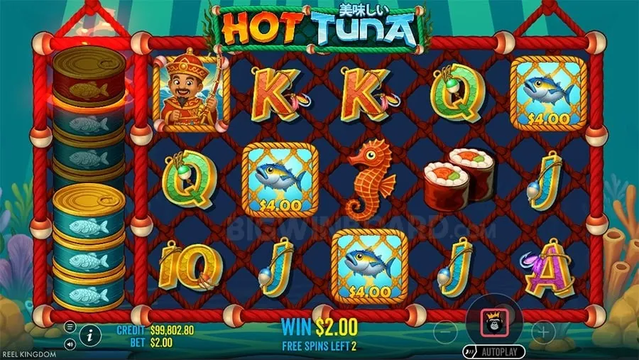 Start playing on 8k8 app